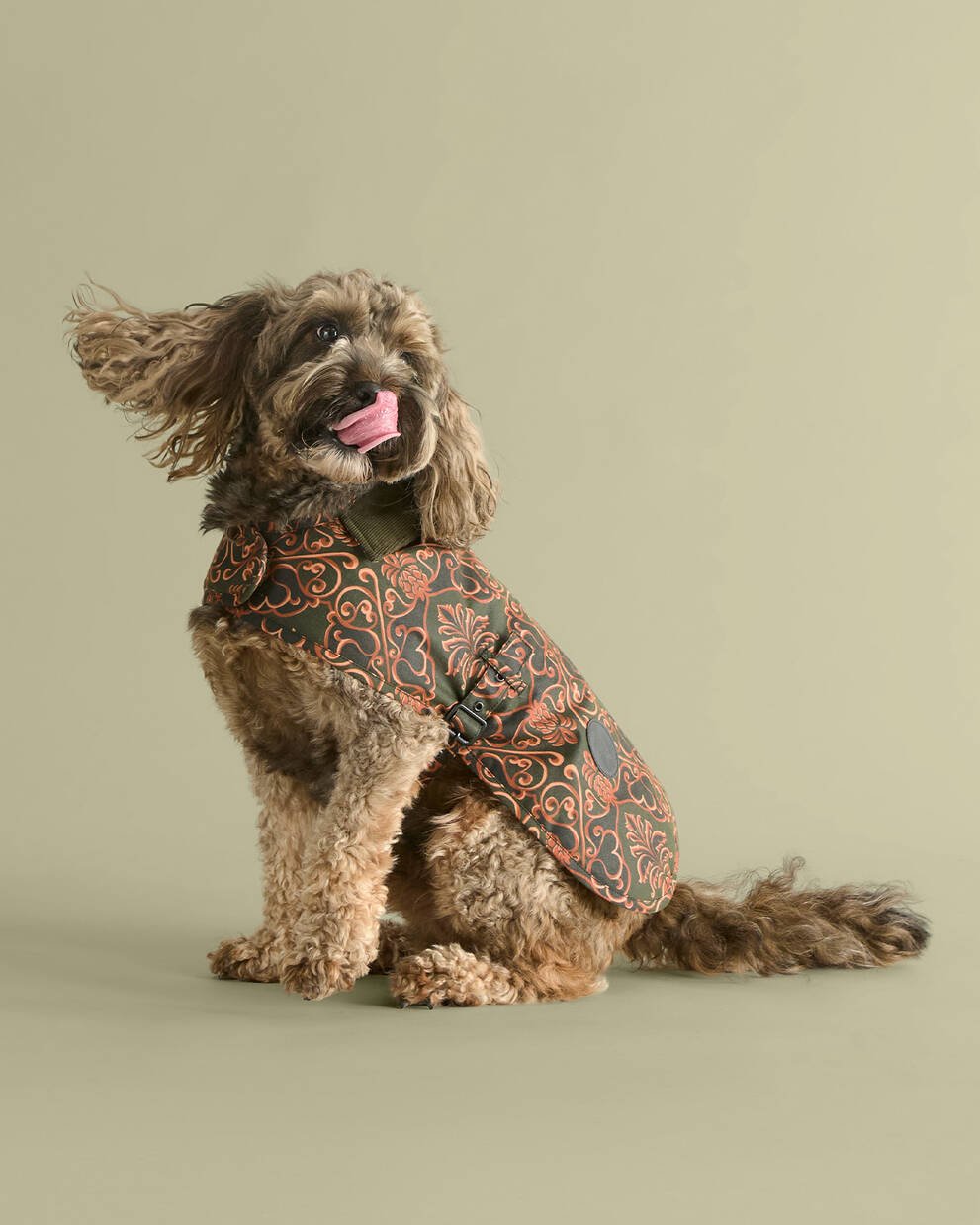 Barbour FARM Rio Hundemantel Pineapple