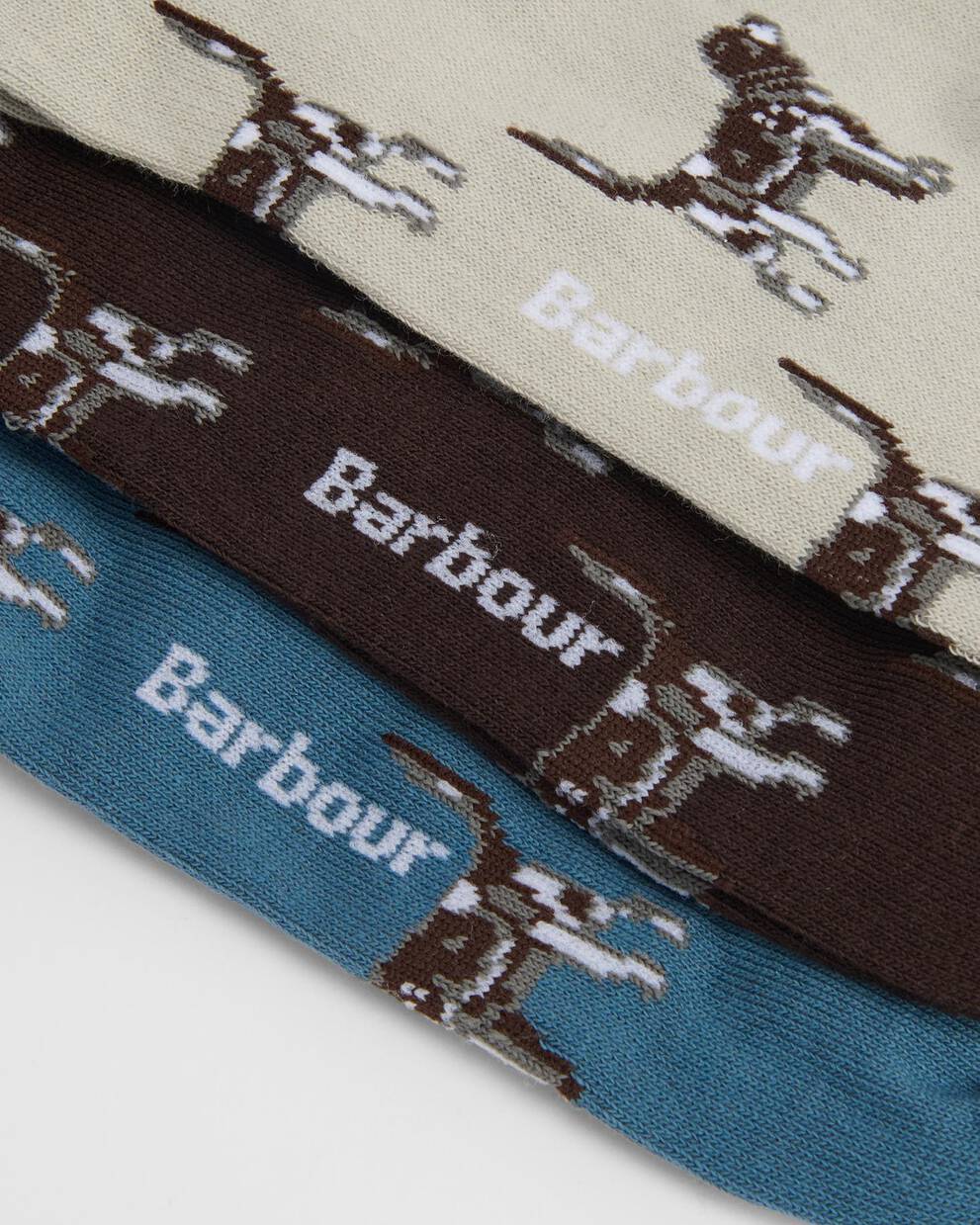 Geschenk-Set Socken Pointer Dog