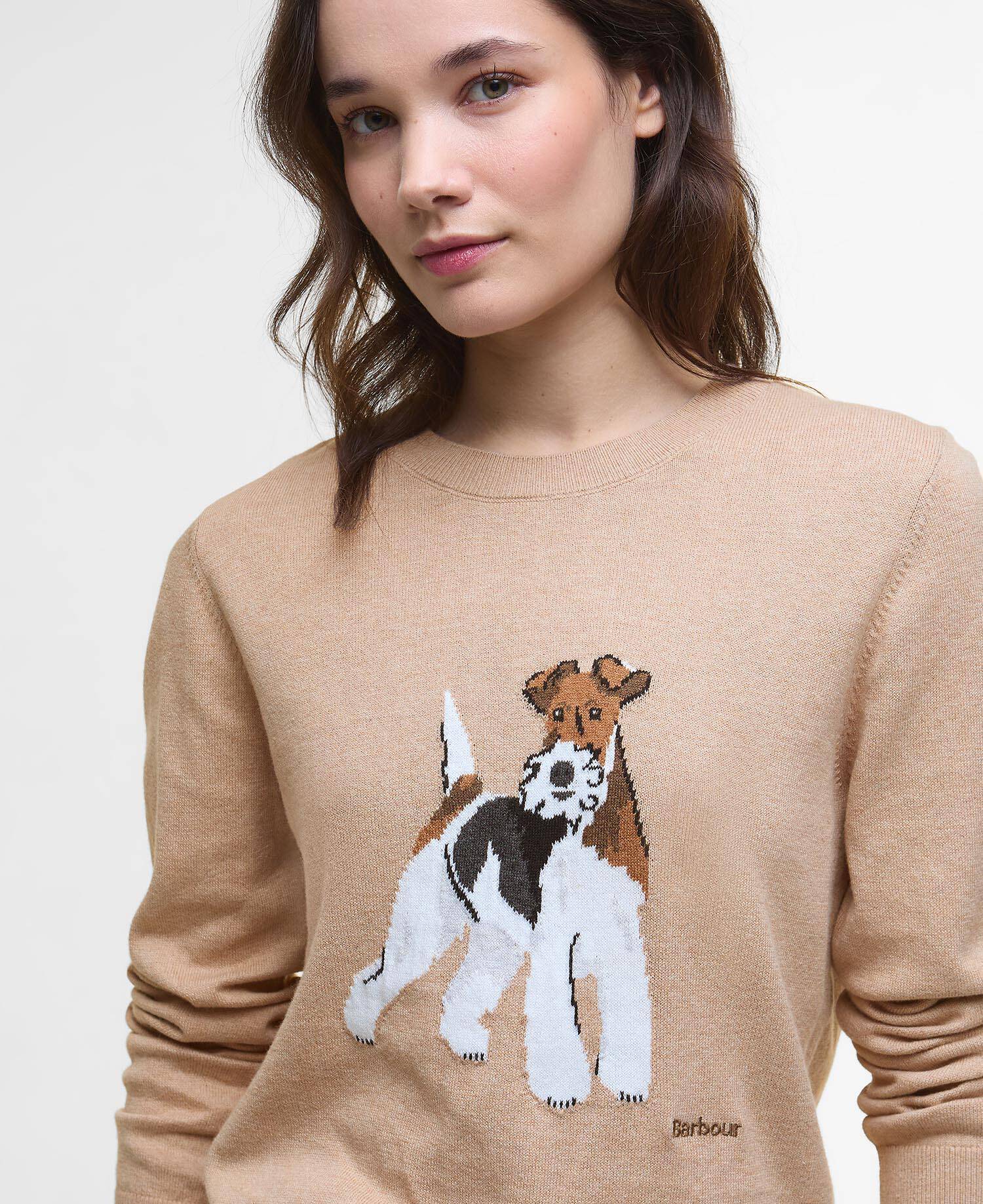 Pullover Fareham Rundhalsausschnitt image number 3