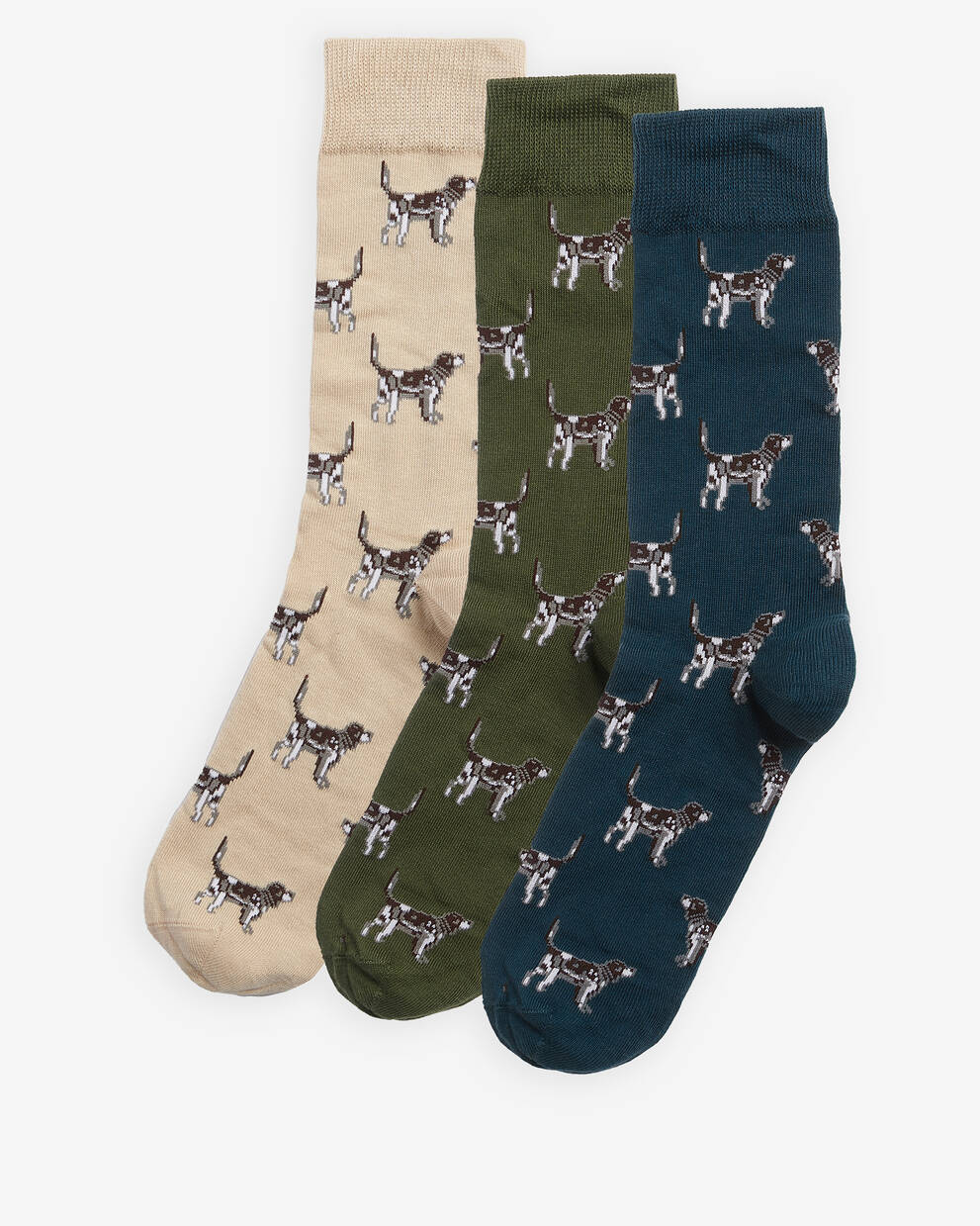 Geschenk-Set Socken Pointer Dog