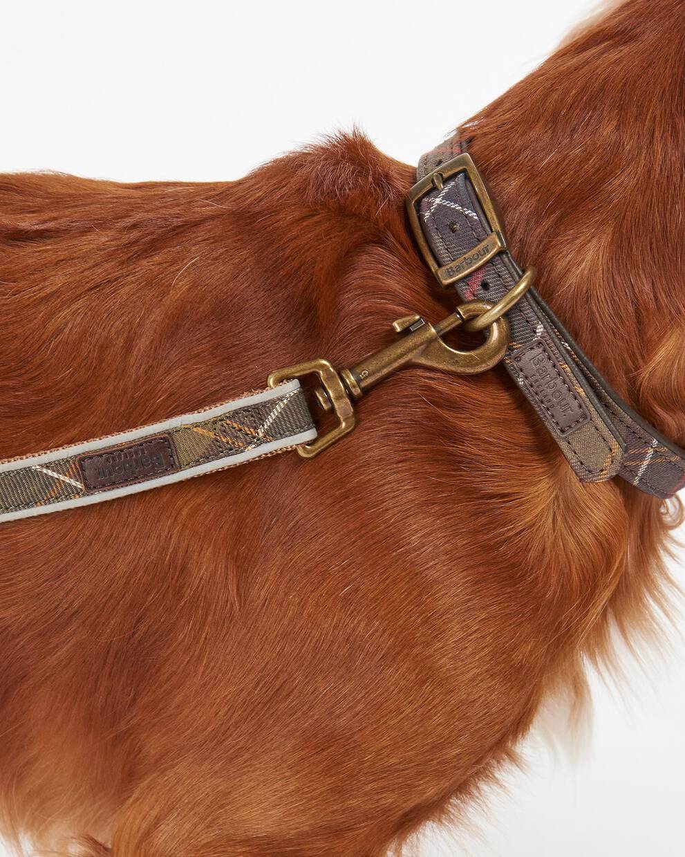 Tartan Hundeleine Reflective