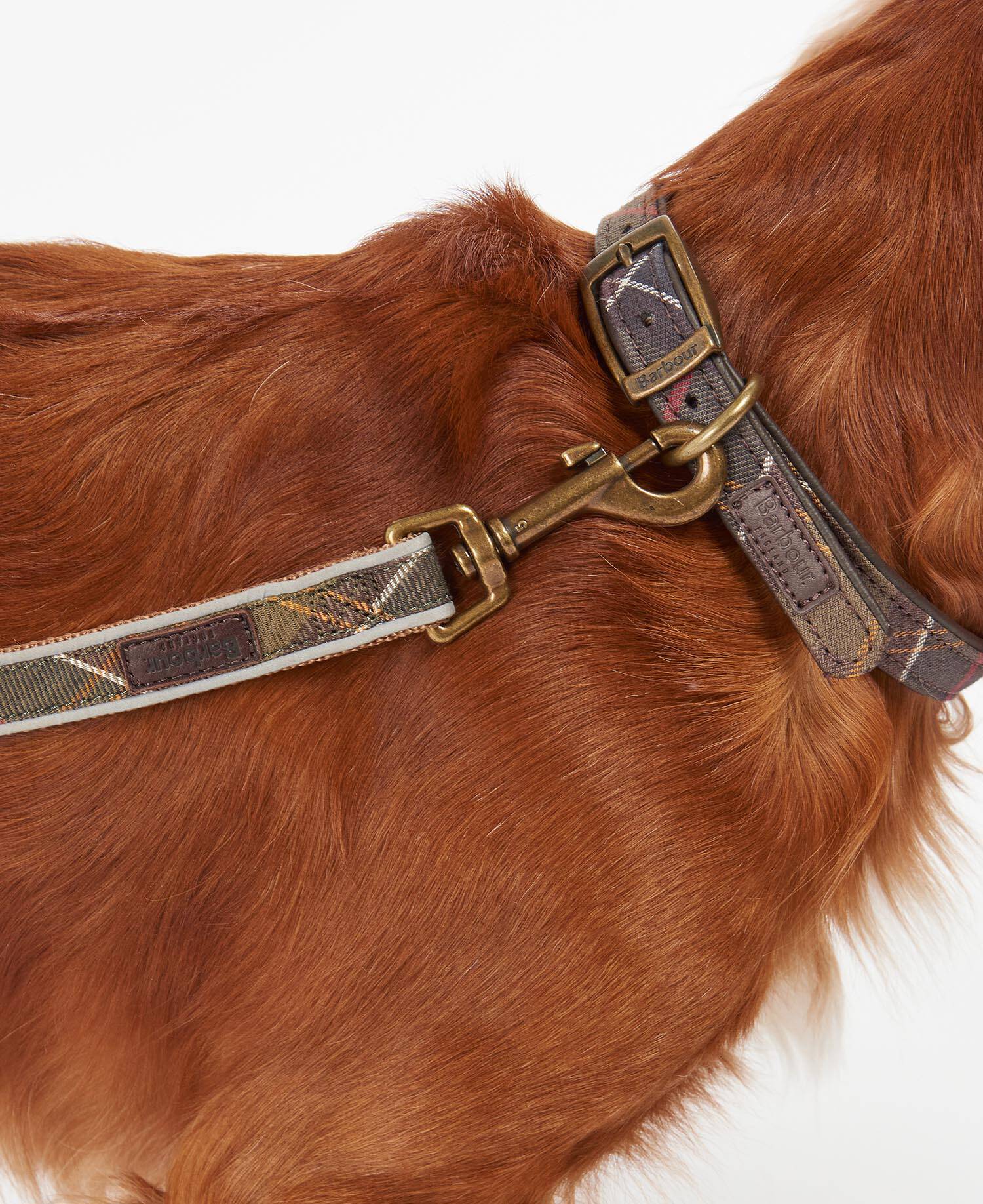 Tartan Hundeleine Reflective image number 2