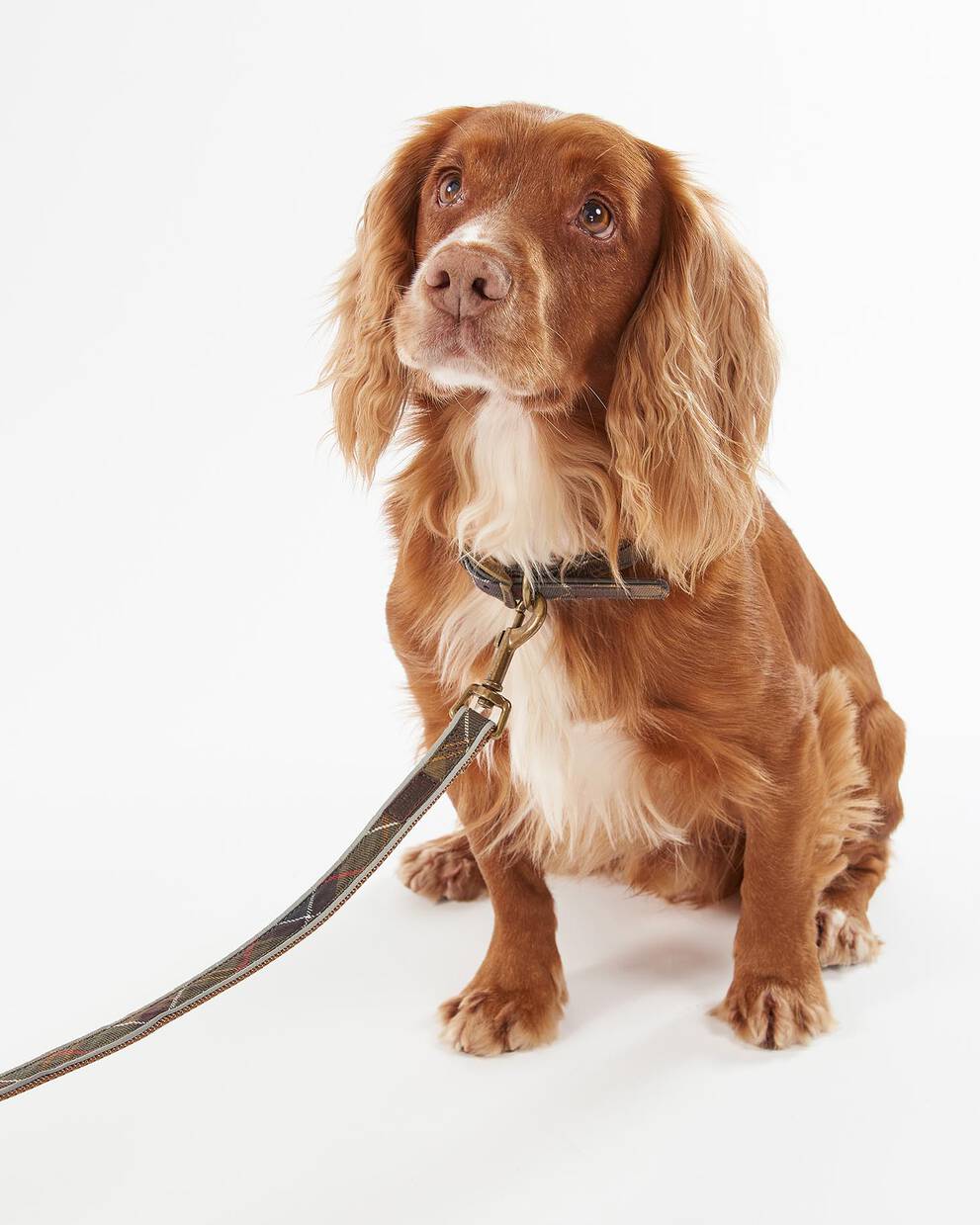 Tartan Hundeleine Reflective