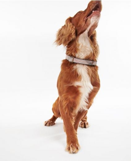 Reflective Tartan Dog Collar