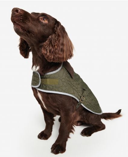 Paw-Quilted Dog Coat