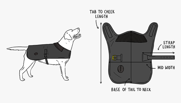 Dog Accessories Size Guides | Barbour