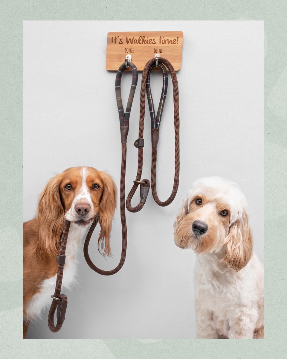 barbour dog leash