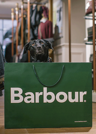 barbour wool dog coat